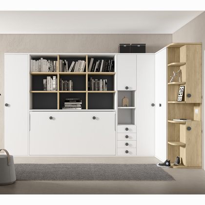 Cama plegable horizontal invididual con estanterias 