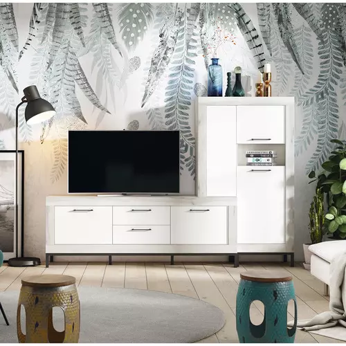 Mueble de Salón Minimalista con Patas Elevadas y Almacenaje